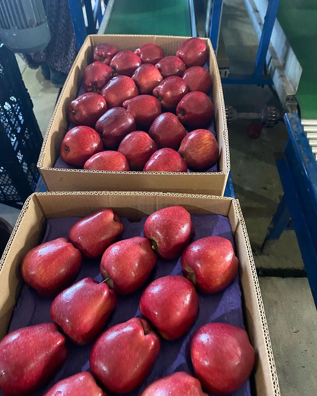 Neden bizi seçmelisiniz?