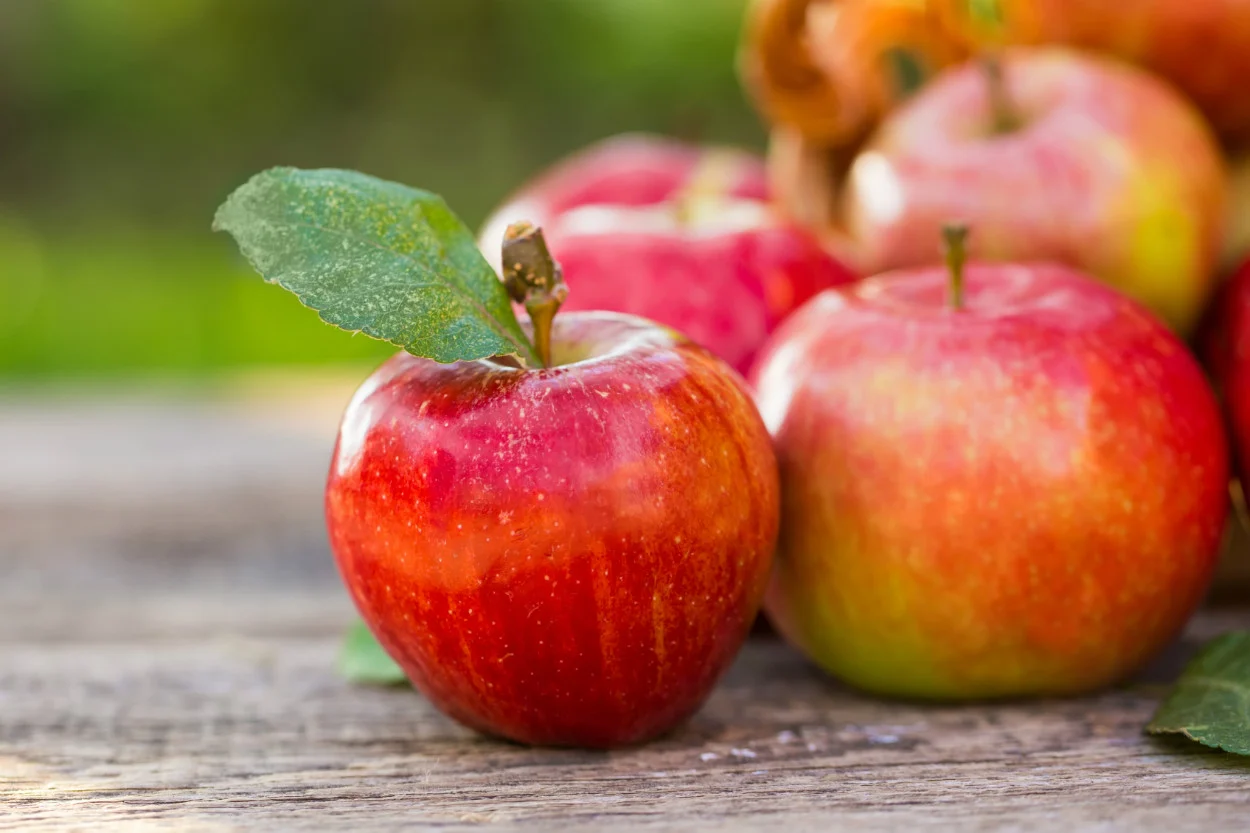 Firmamıza Hoş Geldiniz !